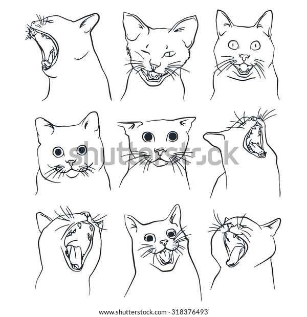 Set Different Heads Cats Outline Black Stock Vector (Royalty Free ...