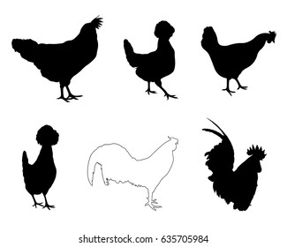 Set of different hens and roosters isolated on white