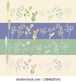 Set of different herbs and berries, hand drawn sketch on the colorful background, vector.