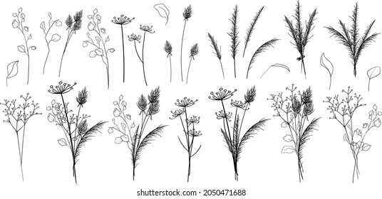 Set of different herbs, flowers, bouquets of dried flowers, leaves, branches. Vector illustration in sketch style perfect for decoration wedding invitations, greeting postcard, design textures, fabric