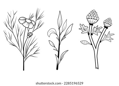 Set of different herbs, flowers, bouquets of dried flowers, leaves, branches on kraft paper. Vector illustration in sketch style perfect for decoration, greeting postcard, design textures, fabric.