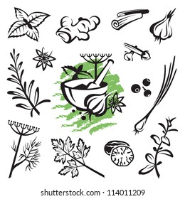 set of different herbs and spices