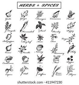 set of different herbs and spices