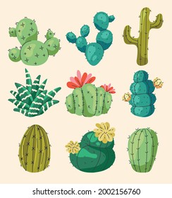 Set of different home cactus flowers isolated on white background. Vector flat graphic design illustration