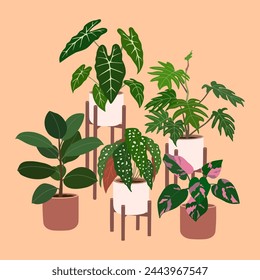 Set of different home plants in flowerpots on stands. Houseplants for home decoration. Urban jungle. Hand drawn vector illustration isolated on orange background, flat cartoon style.