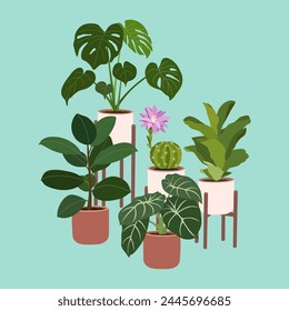 Set of different home plants in flowerpots on stands. Houseplants for home decoration. Urban jungle. Hand drawn vector illustration isolated on blue background, modern flat cartoon style.