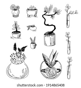 Set of different home plants in pots and vases. Hand drawing isolated on white vectors outlines.