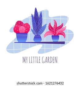 Set of different homeplants in pots. My little garden. The flower on the shelf. Flat vector illustration on isolated background