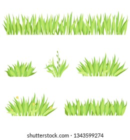 Set of different horizontal compositions of grass. Isolated garden lawn on a white background. Vector illustration