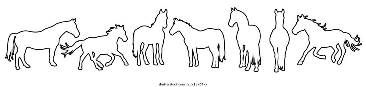 set of different horses silhouette isolated on white background