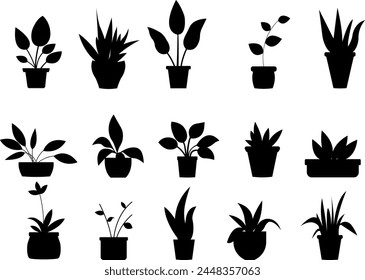  Conjunto de diferentes siluetas de plantas de manguera. Ilustración vectorial
