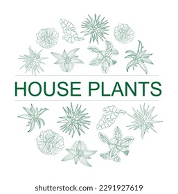 Set of different house plant top view line drawing