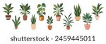 Set of different house plants in colorful hand made ceramic pots. Collection of indoor plants. Decorative natural elements for home decor. Vector illustrations isolated on white background.