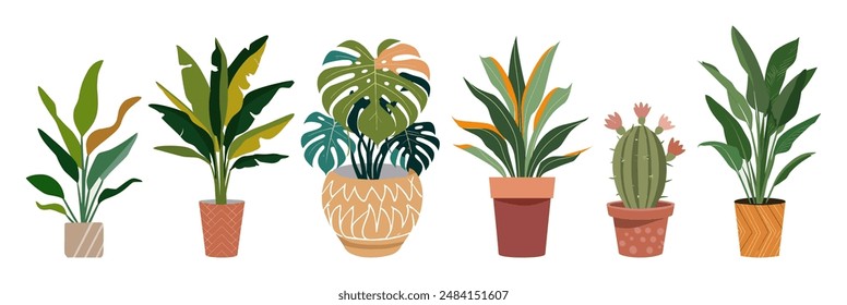 Set of different house plants in colorful hand made ceramic pots. Collection of indoor plants. Decorative natural elements for home decor. Vector illustrations isolated on white background.