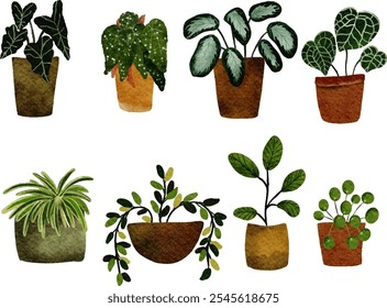 Set of different house plants in colorful hand made ceramic pots. Collection of indoor plants. Decorative natural elements for home decor. Vector illustrations isolated on white background.