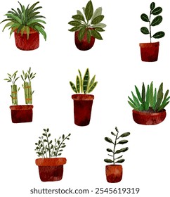 Set of different house plants in colorful hand made ceramic pots. Collection of indoor plants. Decorative natural elements for home decor. Vector illustrations isolated on white background.