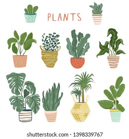 Set of different house plants in cute pots