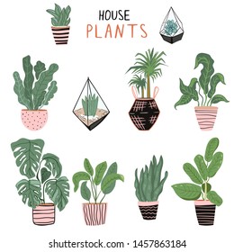 Set of different house plants in cute pots