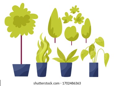Set of different house plants with green leaves in pots. Tropical flowers and cactuses for room decoration. Isolated flat vector illustration