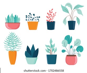 Conjunto de diferentes plantas de casa con hojas verdes en macetas. Flores y cactus tropicales para la decoración de las habitaciones. Ilustración vectorial plana aislada