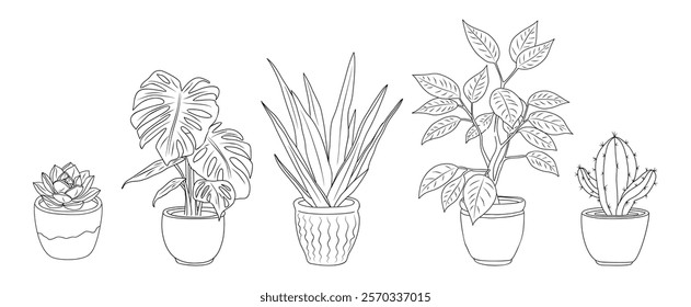 Set of different house plants line art drawings. Monstera, Aloe Vera, Cactus, Echeveria Ficus plants sketch style hand drawn vector illustrations isolated on white background