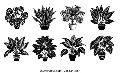 Set of different house plants Monstera, Sansevieria, Areca Palm, Calathea, Ficus Elastica and more. Hand drawn Vector illustration on white background