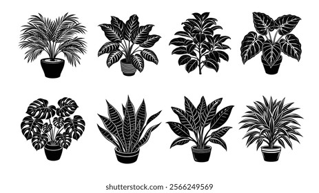 Set of different house plants Monstera, Sansevieria, Areca Palm, Calathea, Ficus Elastica and more. Hand drawn Vector illustration on white background