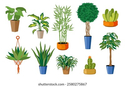 Set of different house plants in pots. Collection of indoor plants. Decorative natural elements for home decor. Interior home, office decoration, green garden floral collection icons isolated on white