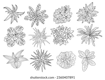 Set of different house plants top view. Cactus, aloe, monstera, palms black line art icons for landscape, architectural, interior design. Hand drawn Vector sketch isolated on white background