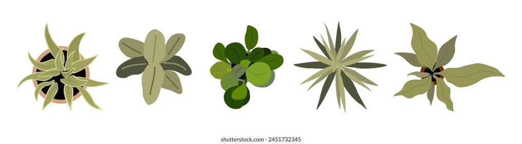 Set of different house plants top view. Potted flowers colorful icons for landscape, architectural, interior design. Hand drawn Vector flat illustrations isolated on white background. Hand made NO AI