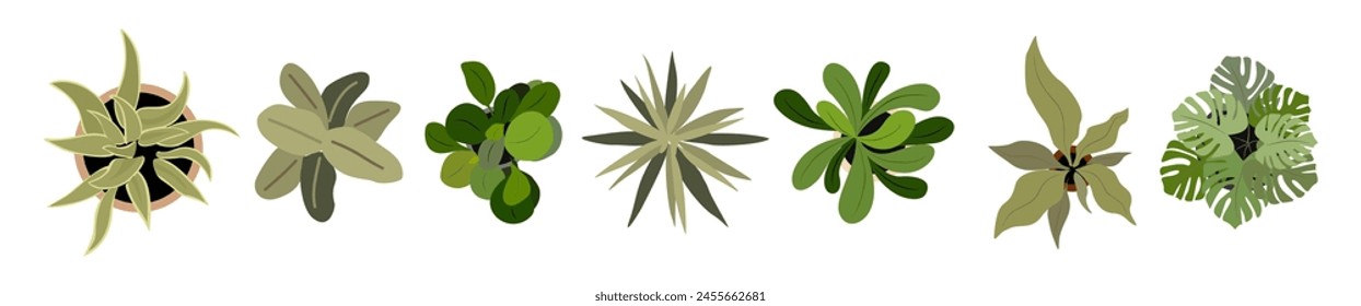 Set of different house plants top view. Potted flowers colorful icons for landscape, architectural, interior design. Hand drawn Vector flat illustrations isolated on white background. Hand made not AI