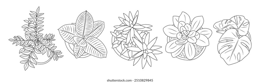 Set of different house plants top view. Cactus, aloe, monstera, palms black line art icons for landscape, architectural, interior design. Hand drawn Vector sketch isolated on white background.