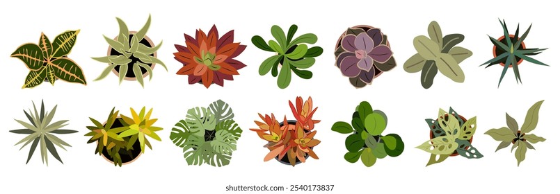 Set of different house plants top view. Potted flowers colorful icons for landscape, architectural, interior design. Hand drawn Vector flat illustrations isolated on white background.