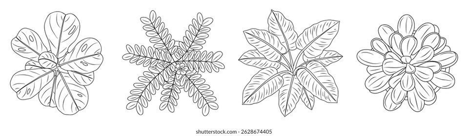 Set of different house plants top view. Botanical black line art icons for landscape, architectural, interior design. Hand drawn Vector sketch isolated on white background