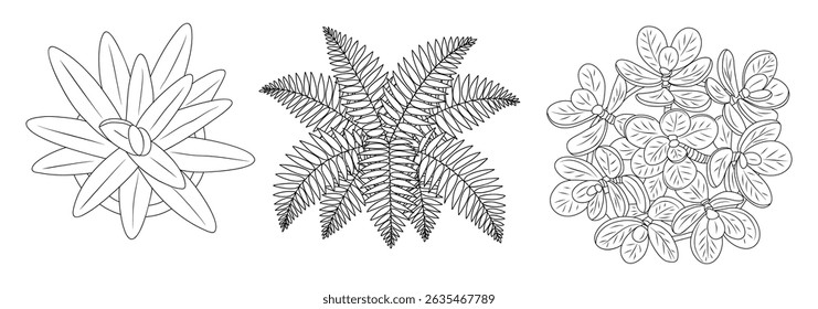 Set of different house plants top view. Botanical black line art icons for landscape, architectural, interior design. Hand drawn Vector sketch isolated on white background