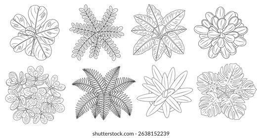 Set of different house plants top view. Cactus, aloe, monstera, palms black line art icons for landscape, architectural, interior design. Hand drawn Vector sketch isolated