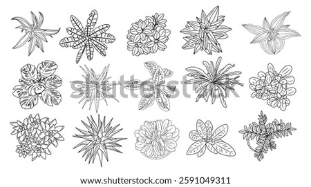 Set of different house plants top view. Cactus, aloe, monstera, palms black line art icons for landscape, architectural, interior design. Hand drawn Vector sketch isolated on white background.