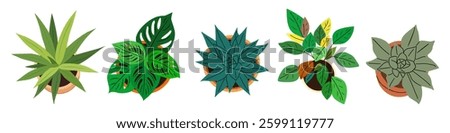 Set of different house plants top view. Potted flowers colorful icons for landscape, architectural, interior design. Hand drawn Vector flat illustrations isolated on white background.