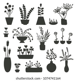 Set of different house plants. Vector silhouette of flowers in pots