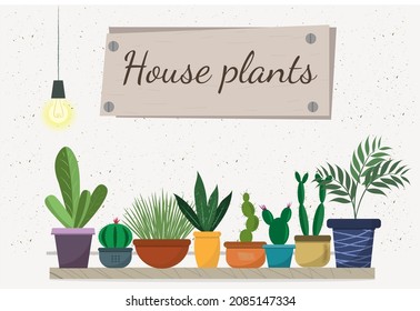 A set of different house plants with written banner, house planting concept, flat vector illustration