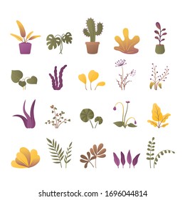 Set of different house, tropical or meadow plants, herbs and twigs. Decorative collection of various cactus, leaves and flowers. Floral elements template isolated on white. Flat vector illustration