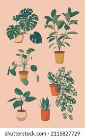 Set of different houseplants. Ficus, monstera, succulent, pilea in various pot, vase. Scandinavian cozy home decor. Flat vector cartoon icons illustration isolated collection