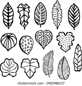 set of different houseplants leaves, in black color, vector illustration