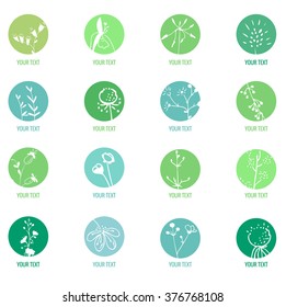 Set with different icons with herbs. Template for your design, branding and logo.