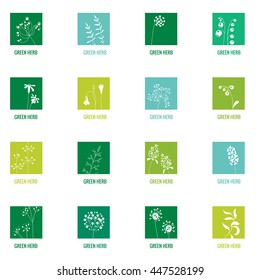 Set with different icons with herbs. Template for your design, branding and logo.