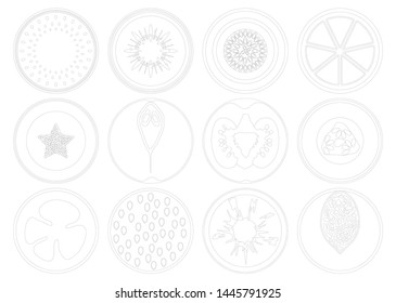 Set of different illustration of  fruits and vegetables.
