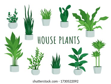 Plantas interiores diferentes aisladas en un fondo blanco.
Colección de macetas de la casa. Ilustración vectorial en estilo plano de caricatura.