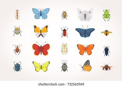 Set of different insects in cartoon style. Butterfly and beetle collection.