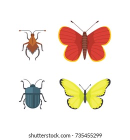 Set of different insects in cartoon style. Butterfly and beetle collection.
