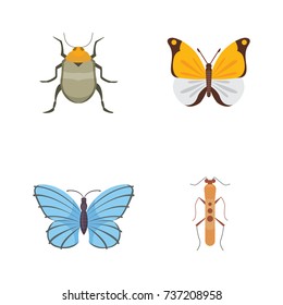 Set of different insects in cartoon style. Butterfly and beetle collection.